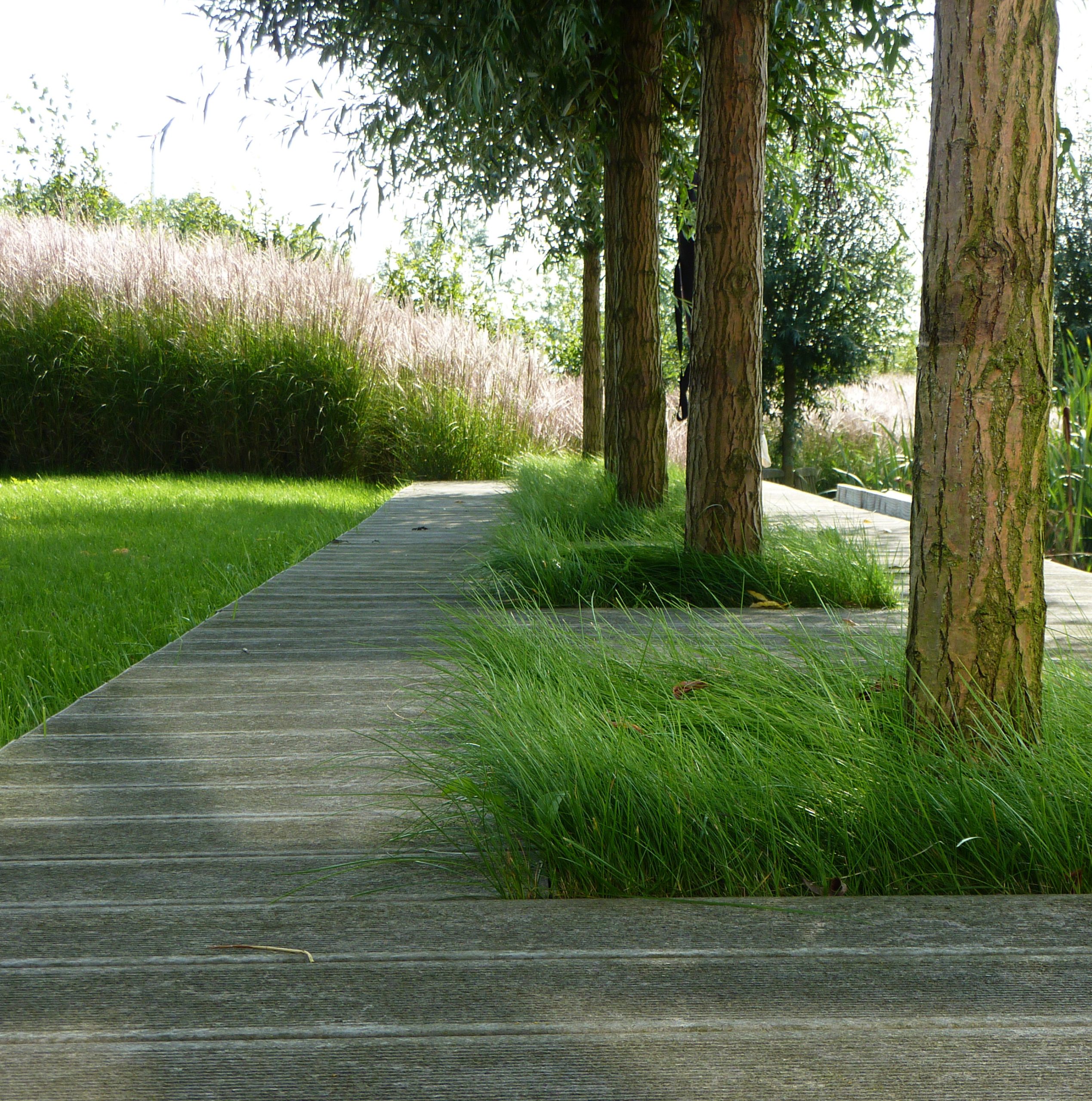 tuinontwerp tuin aan het water natuur architectuur