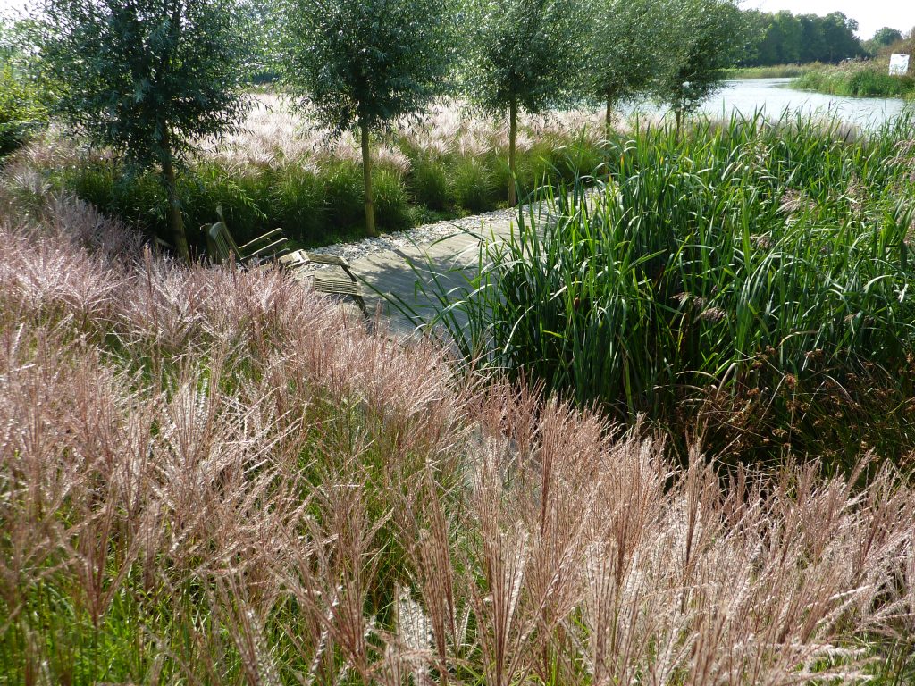 tuinontwerp tuin aan het water natuur architectuur