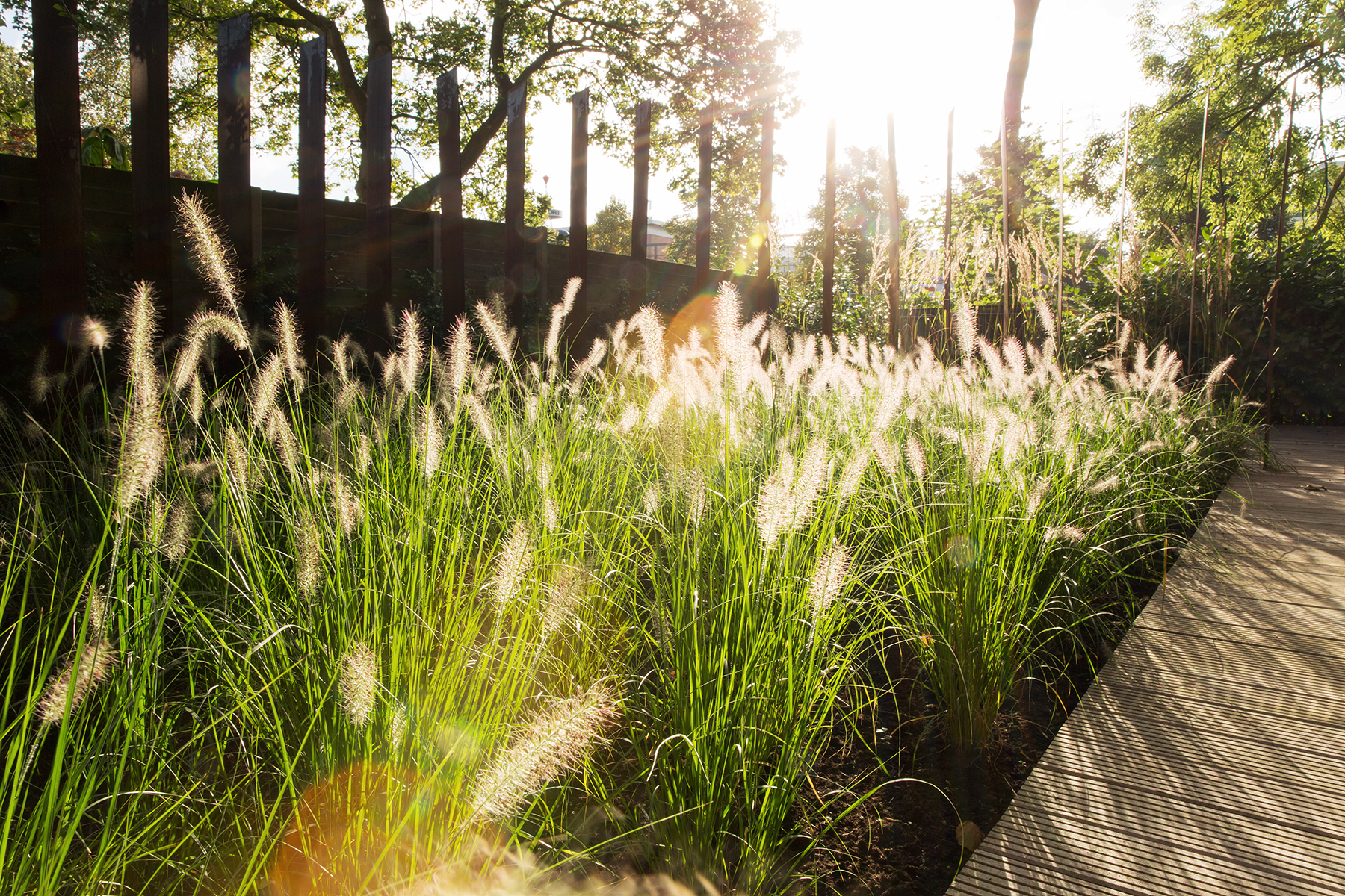 healing garden zorginstelling tuinontwerp stadstuin