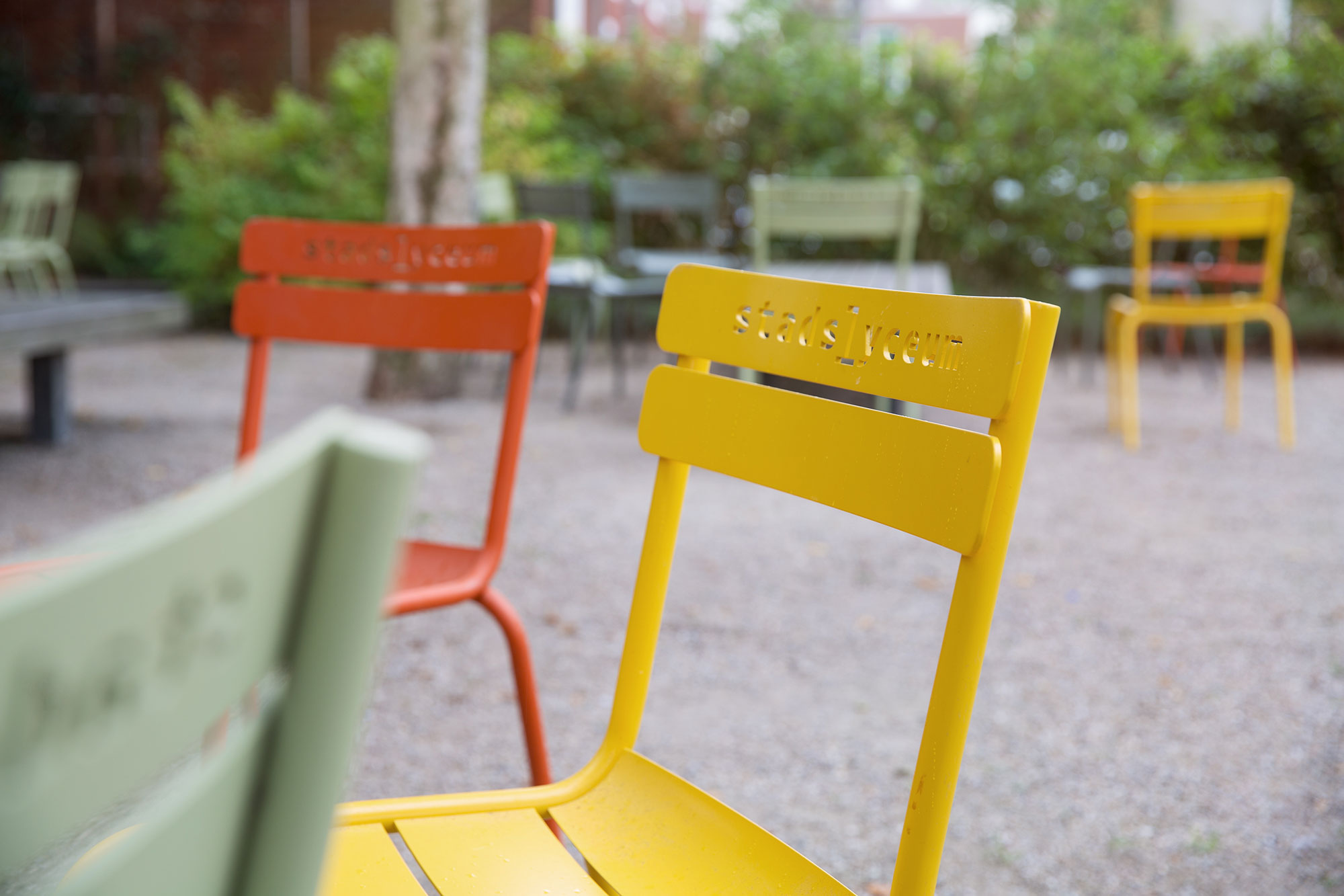 Tuinontwerp: Ontwerp en advies