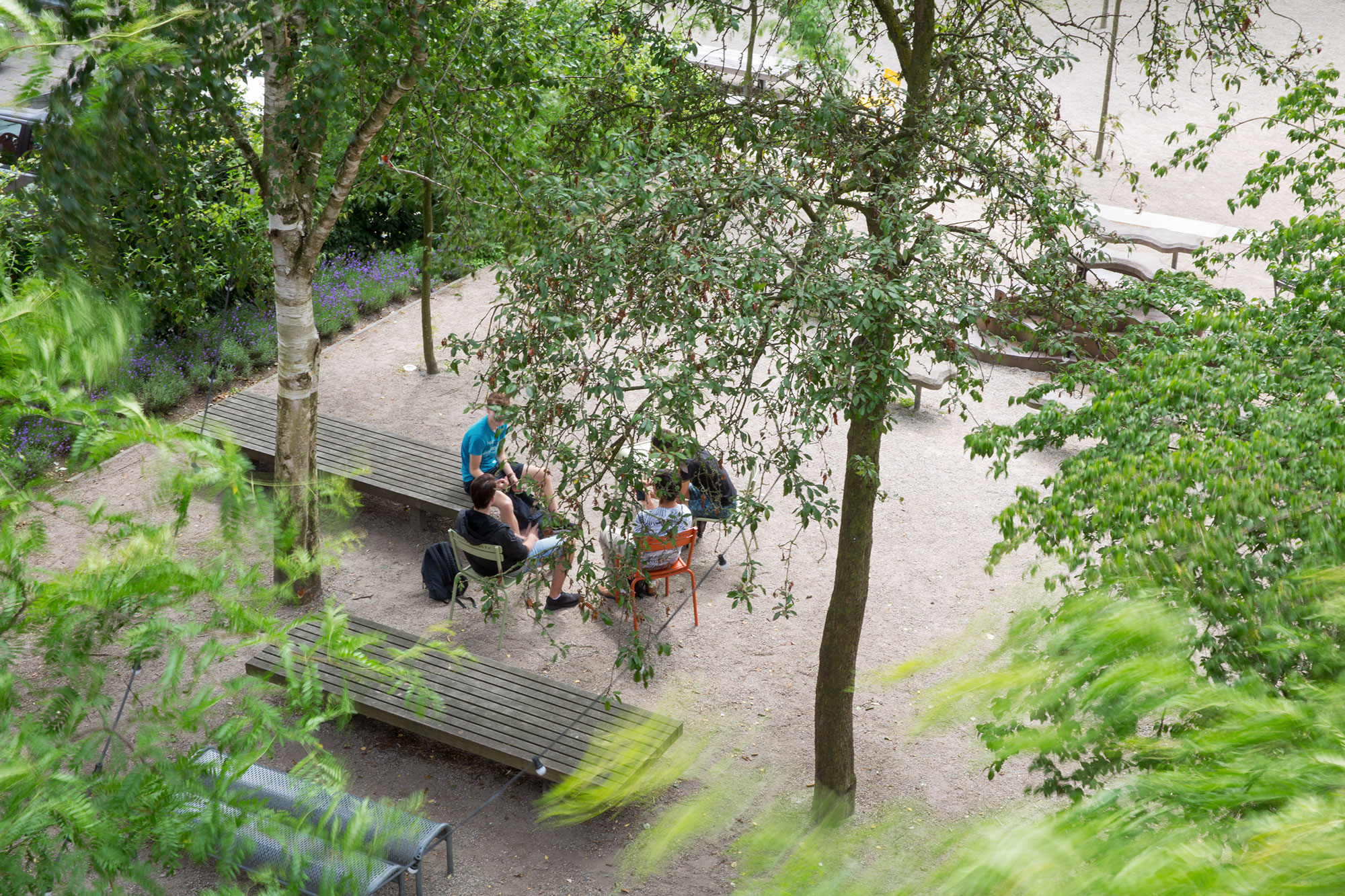 tuinontwerp schoolplein ontmoeten binnenstad