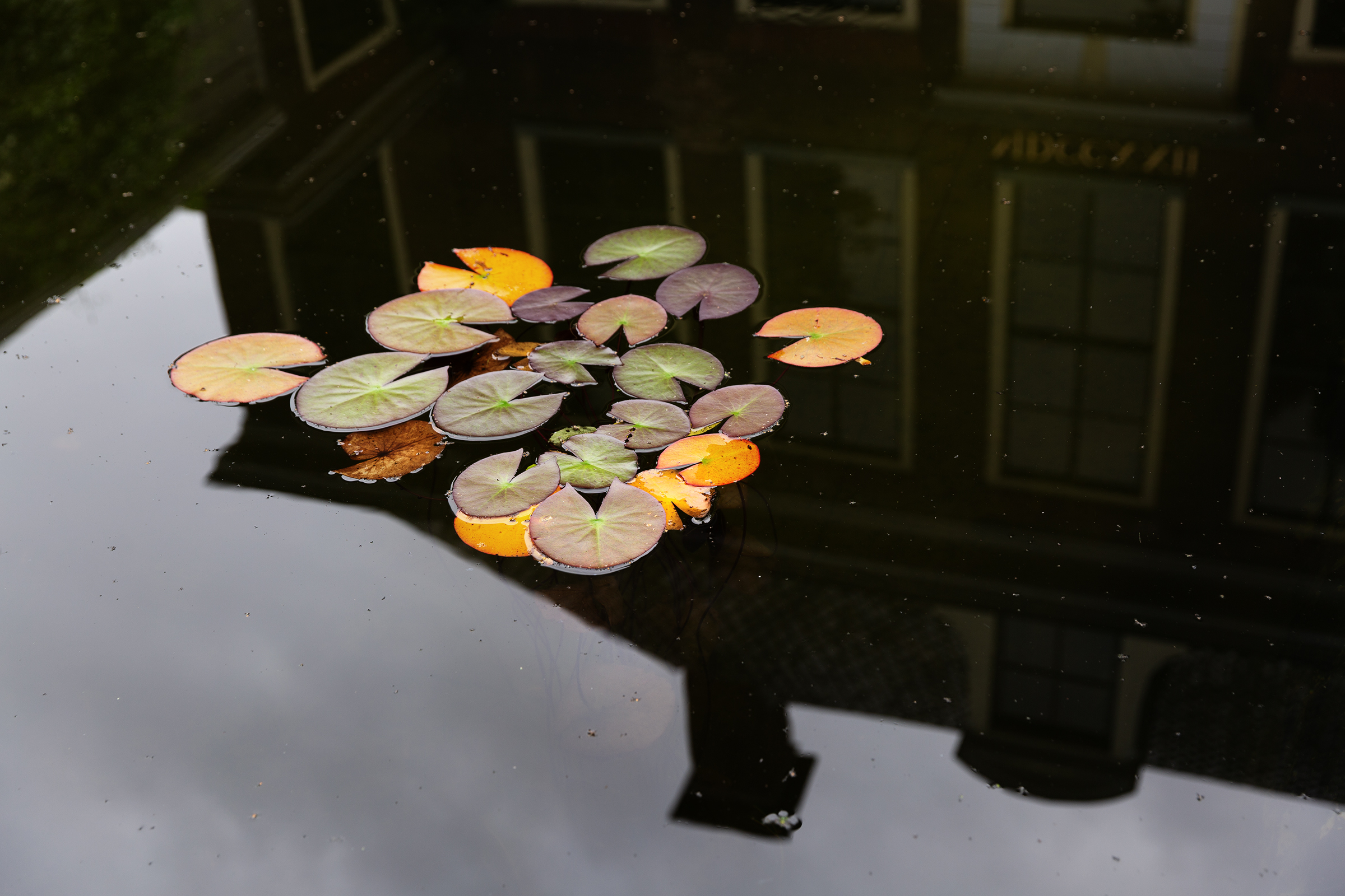 Tuinontwerp rijksmonument groningen binnenstad